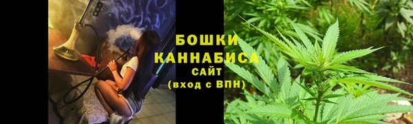PSILOCYBIN Абаза