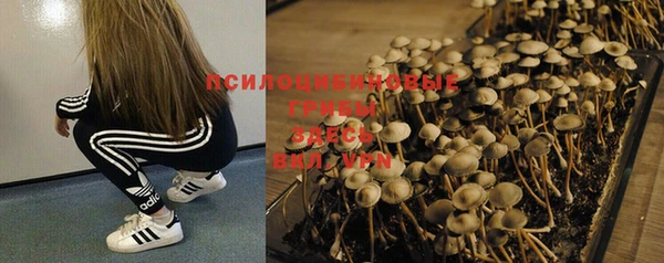 герыч Абинск