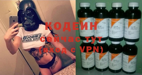 шишки Осинники